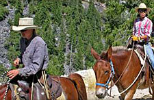 USA-California-Tuolumne Meadows Ride - Yosemite
